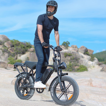 V8 電動自行車 750W 20吋 15Ah 成人電輔自行車