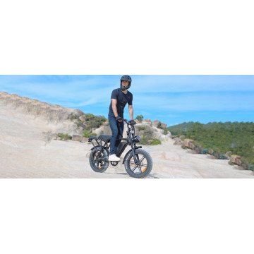 V8 電動自行車 750W 20吋 15Ah 成人電輔自行車